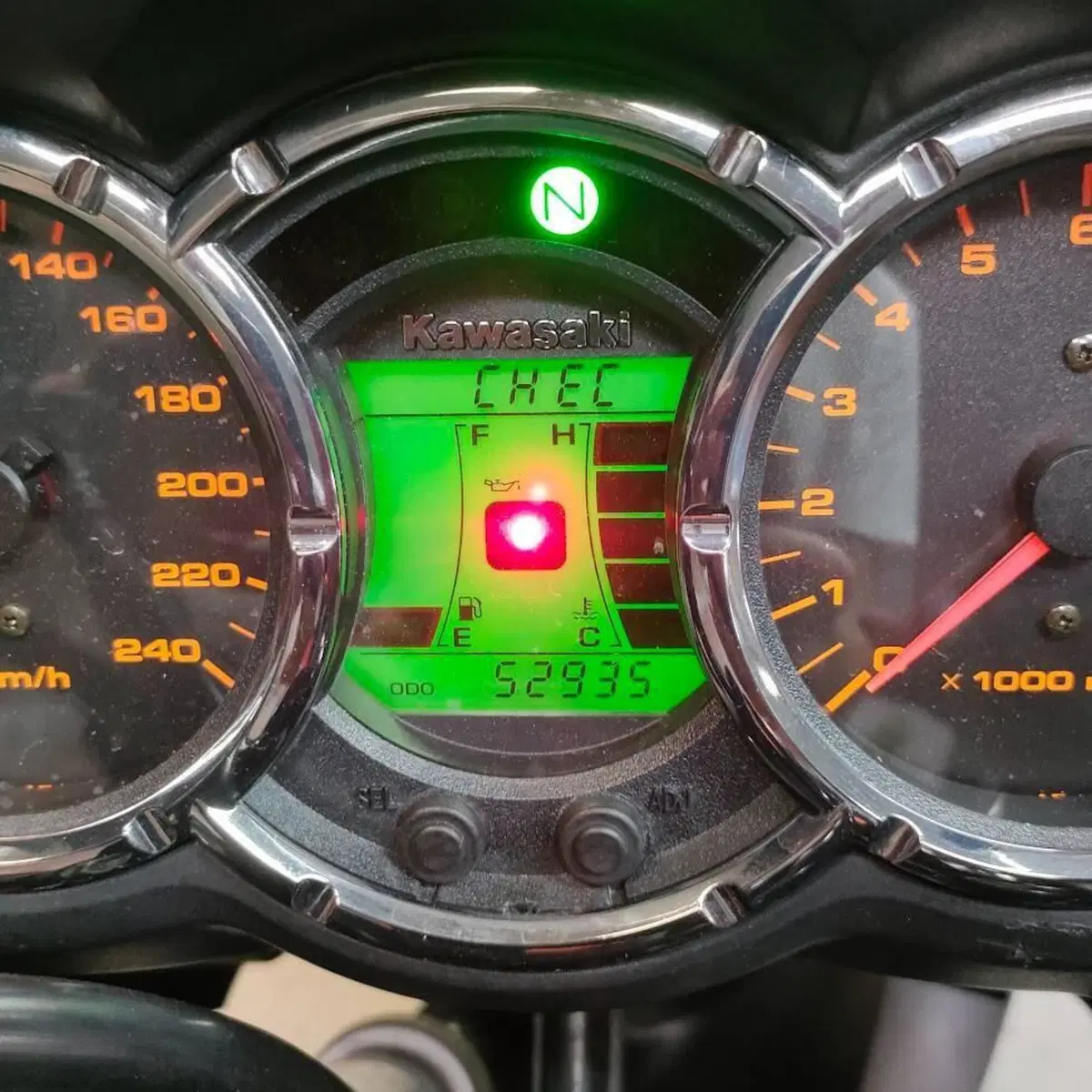 Kawasaki KLV 1000 (4)