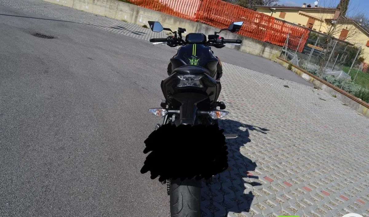 Kawasaki Z 650 Performance (2020) (2)