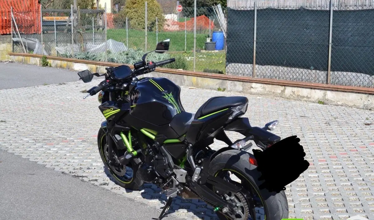Kawasaki Z 650 Performance (2020) (5)