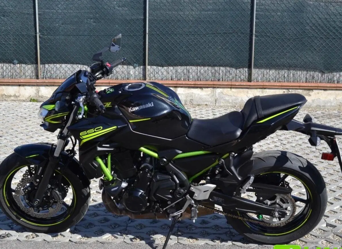 Kawasaki Z 650 Performance (2020) (6)