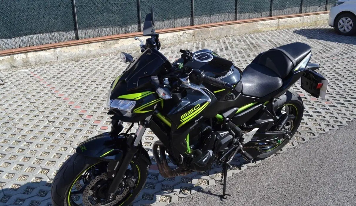 Kawasaki Z 650 Performance (2020) (8)