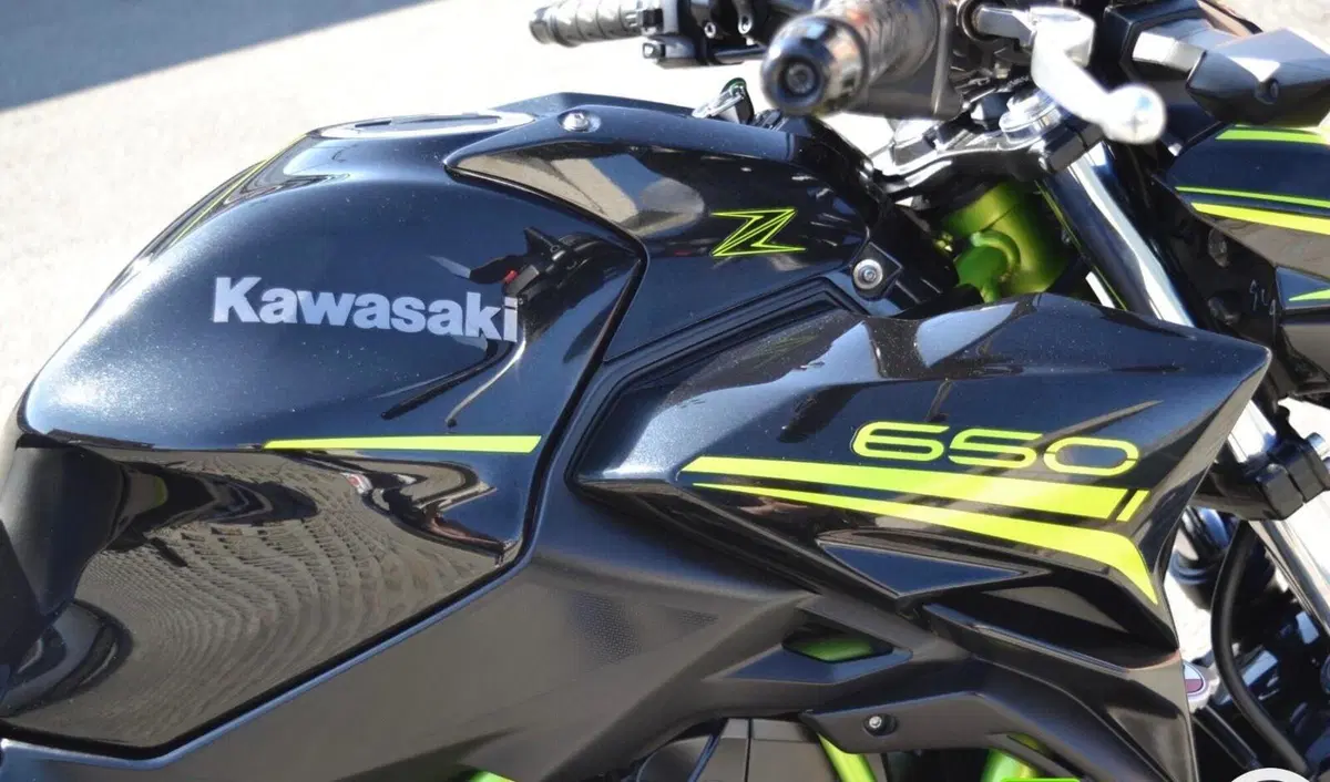 Kawasaki Z 650 Performance (2020) (9)