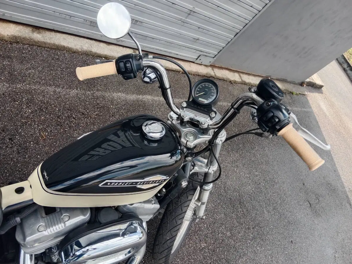 Harley-Davidson 883 Custom (2001 - 05) - XL 53C (2)