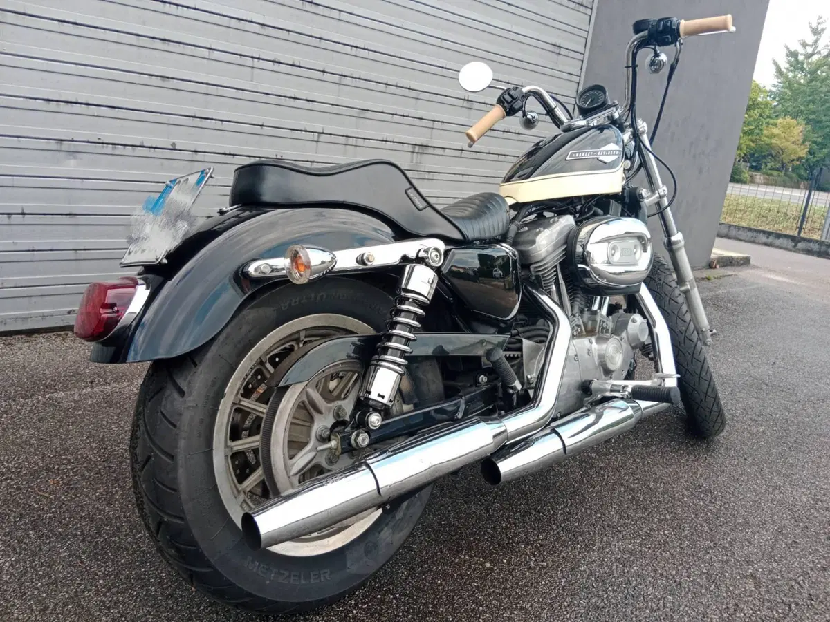 Harley-Davidson 883 Custom (2001 - 05) - XL 53C (4)