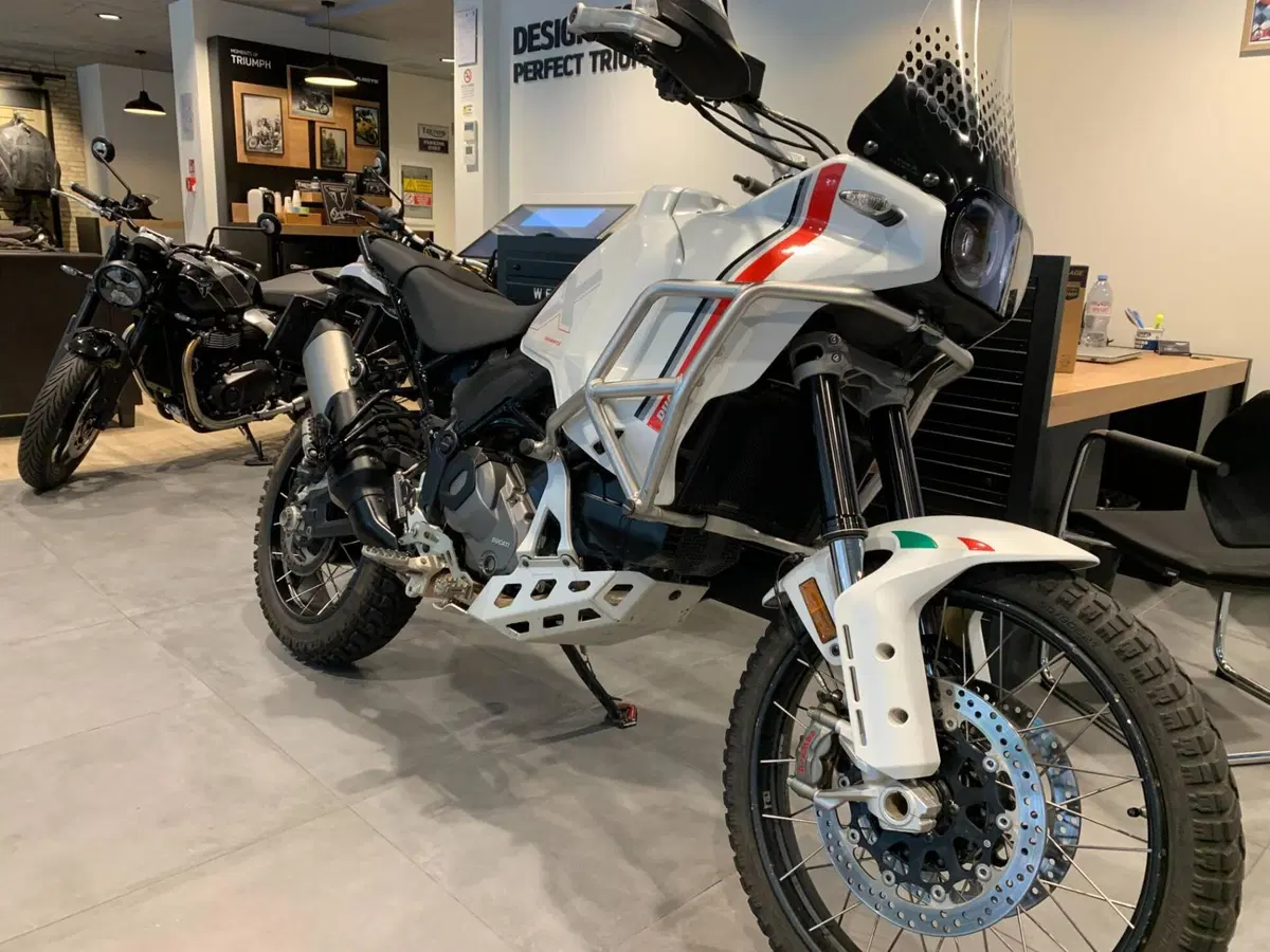 Ducati DesertX (2022 - 25) (4)