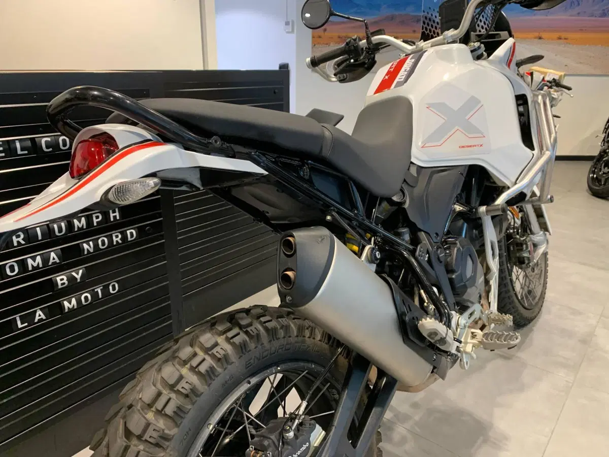 Ducati DesertX (2022 - 25) (5)