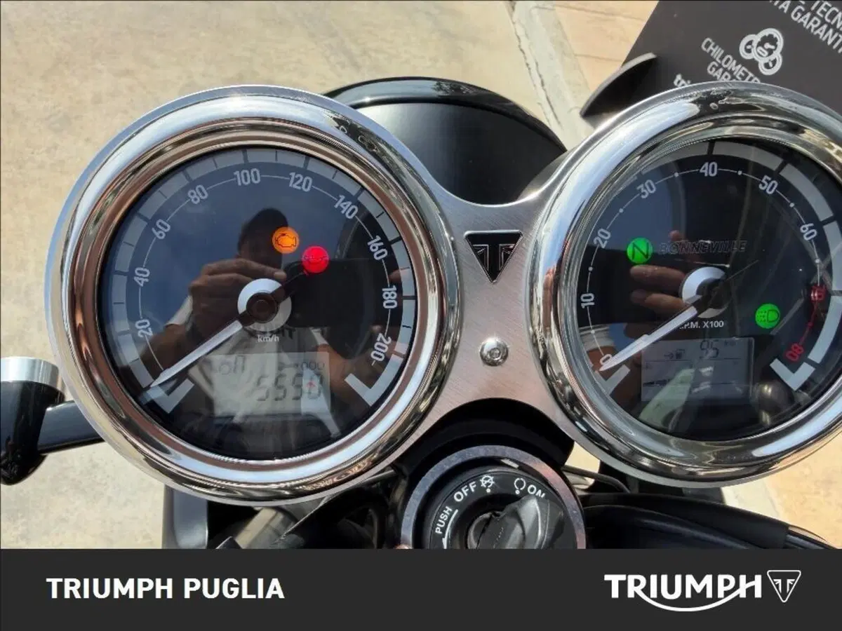 Triumph Bonneville T120 Gold Line Edition (2022 - 23) (2)
