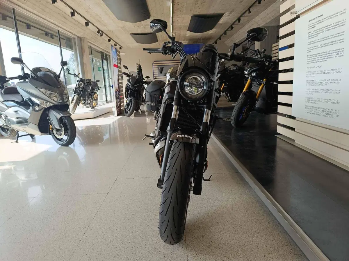 Yamaha XSR 700 (2022 - 26) (2)