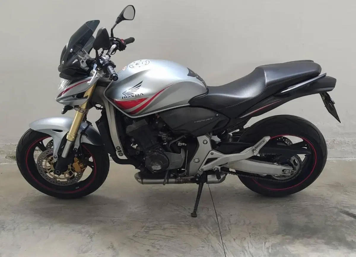 Honda Hornet 600 (2007 - 10) (5)