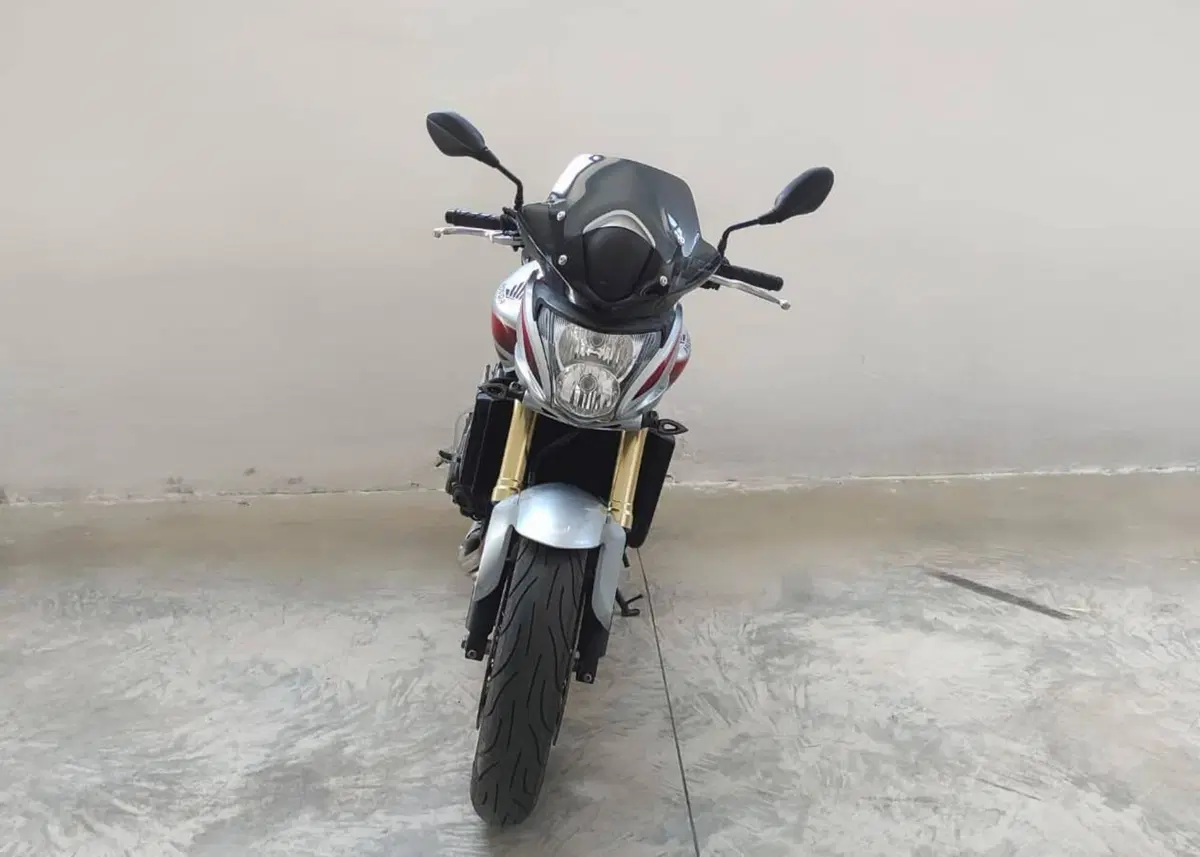 Honda Hornet 600 (2007 - 10) (11)
