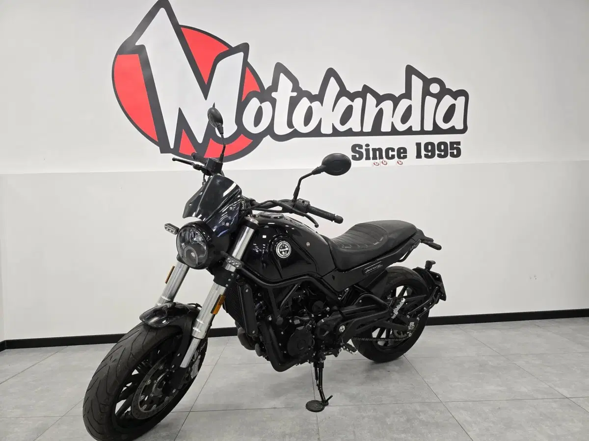 Benelli Leoncino 500 (2021 - 25) (2)