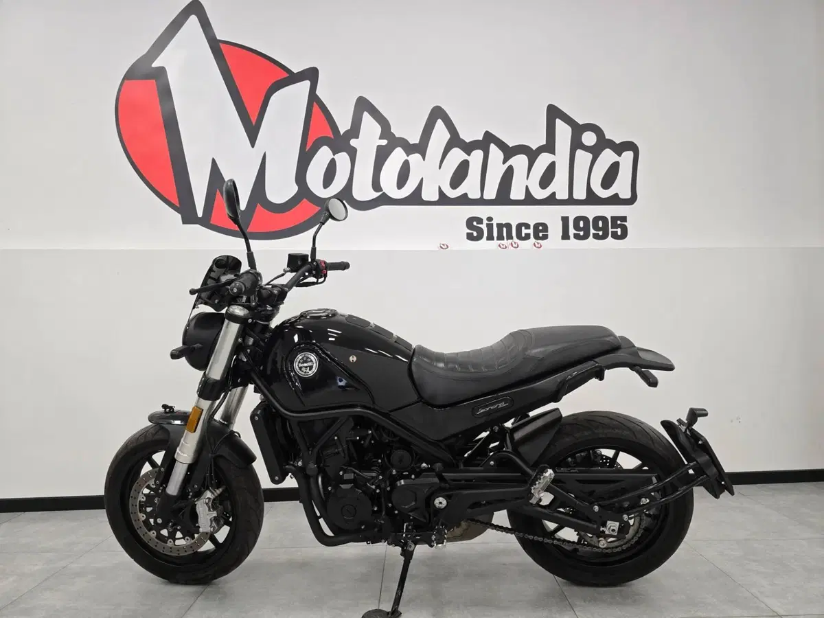 Benelli Leoncino 500 (2021 - 25) (3)