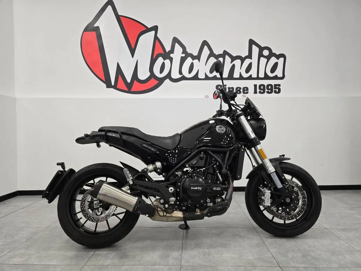 Benelli Leoncino 500 (2021 - 25) (4)