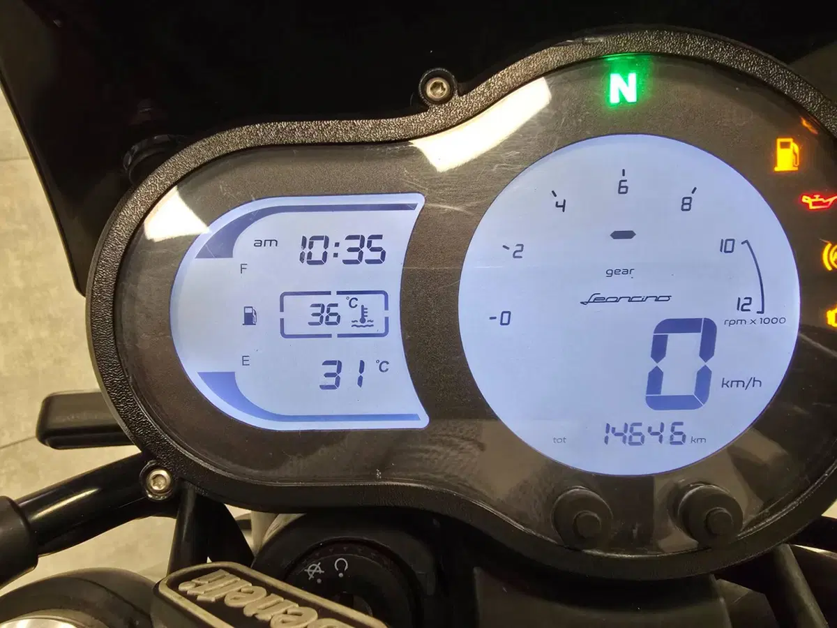 Benelli Leoncino 500 (2021 - 25) (5)