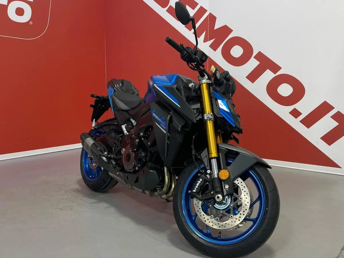 Suzuki GSX-S1000 (2021 - 25)