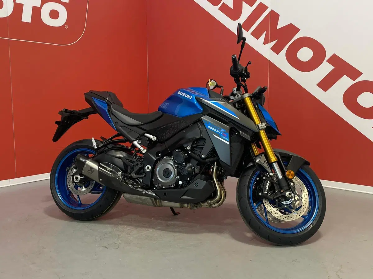 Suzuki GSX-S1000 (2021 - 25) (2)