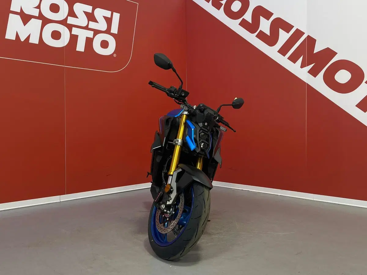 Suzuki GSX-S1000 (2021 - 25) (8)