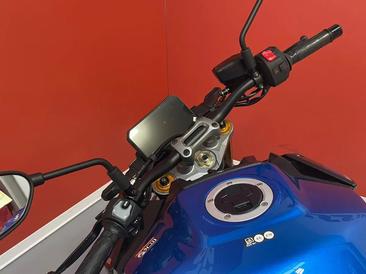Suzuki GSX-S1000 (2021 - 25) (10)