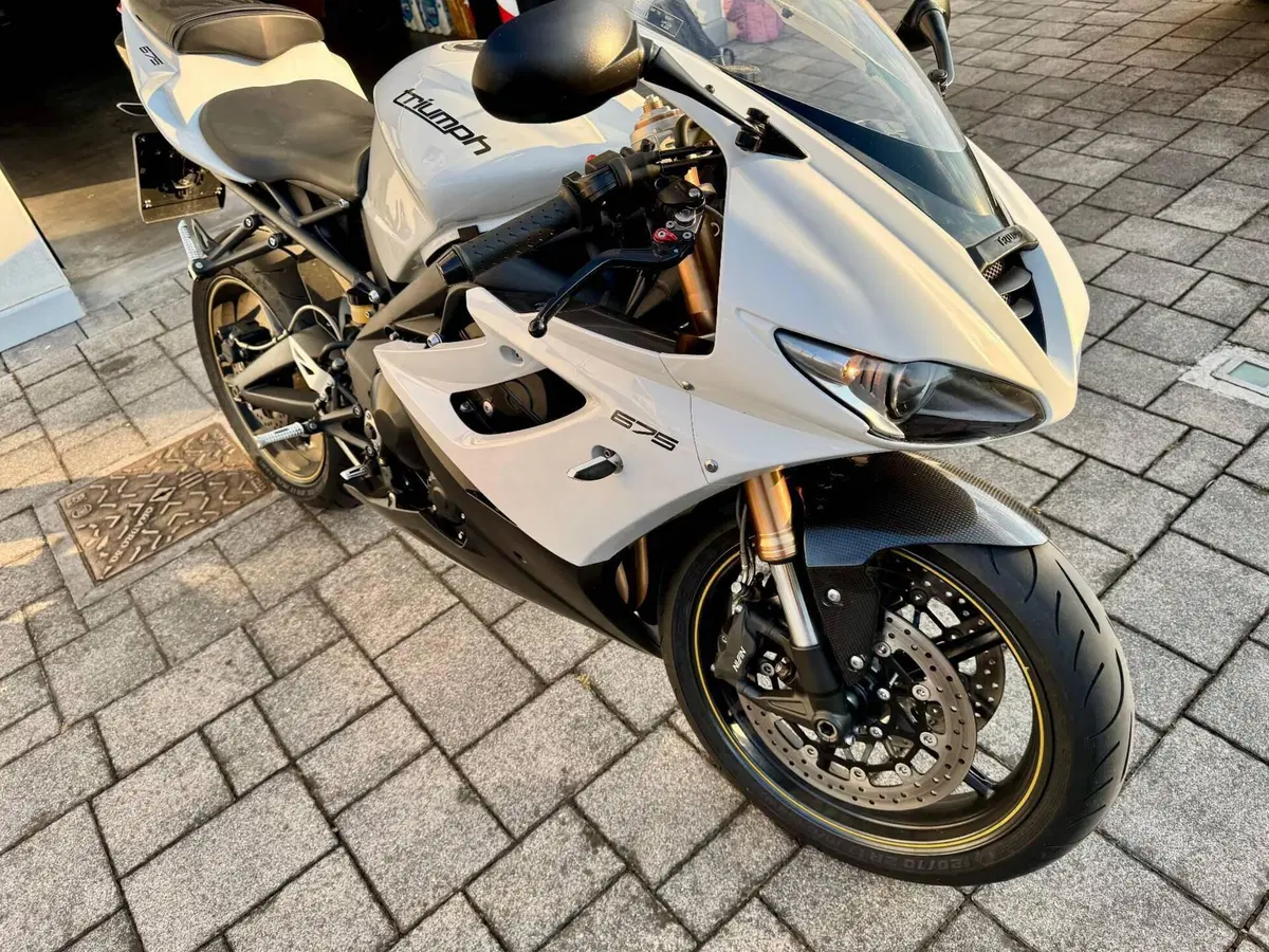 Triumph Daytona 675 R (2010 - 12) (8)
