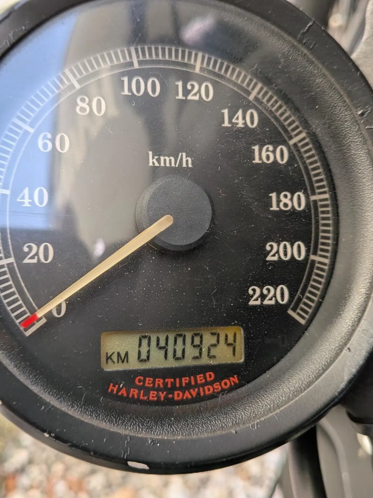 Harley-Davidson 883 R (2004 - 05) - XL 883R (5)
