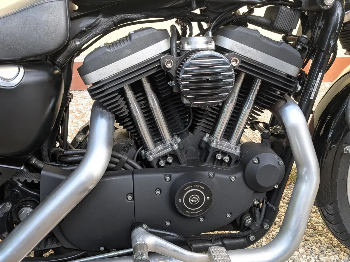 Harley-Davidson 883 R (2004 - 05) - XL 883R (6)