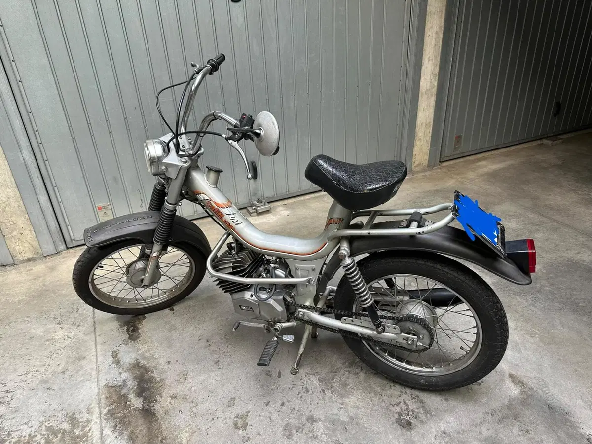 Rizzato Califfone (2)
