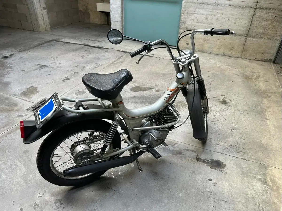 Rizzato Califfone (5)