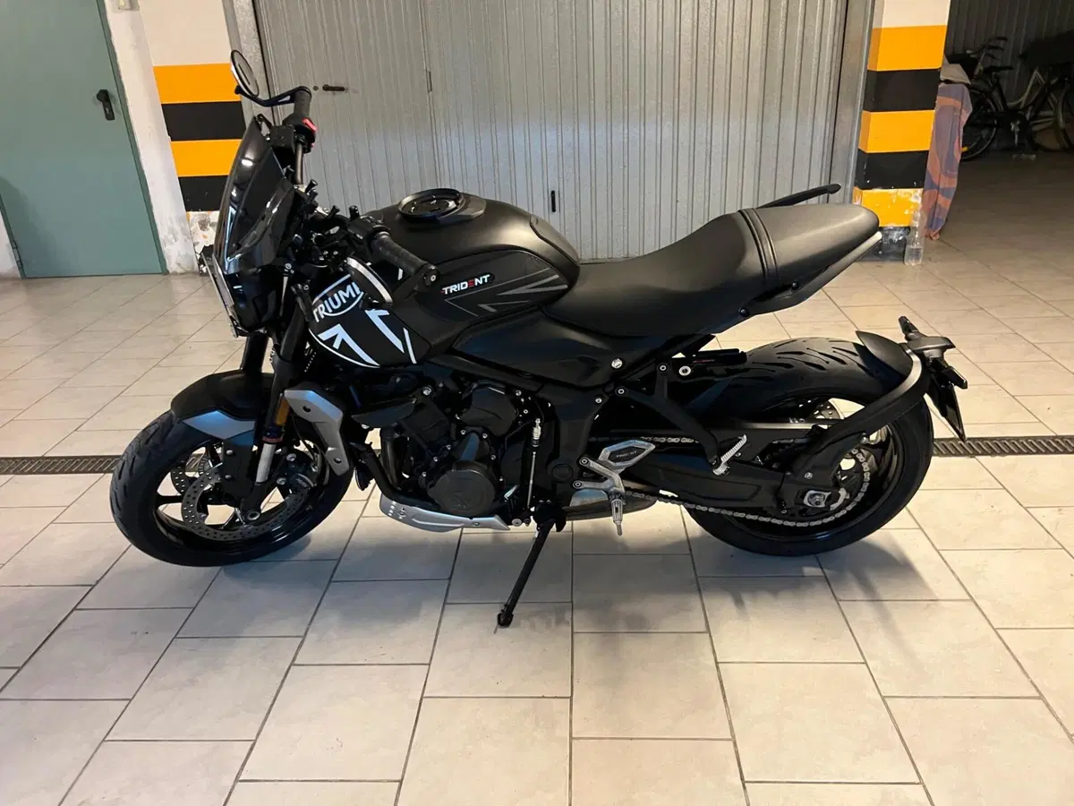 Triumph Trident 660 (2021 - 24)