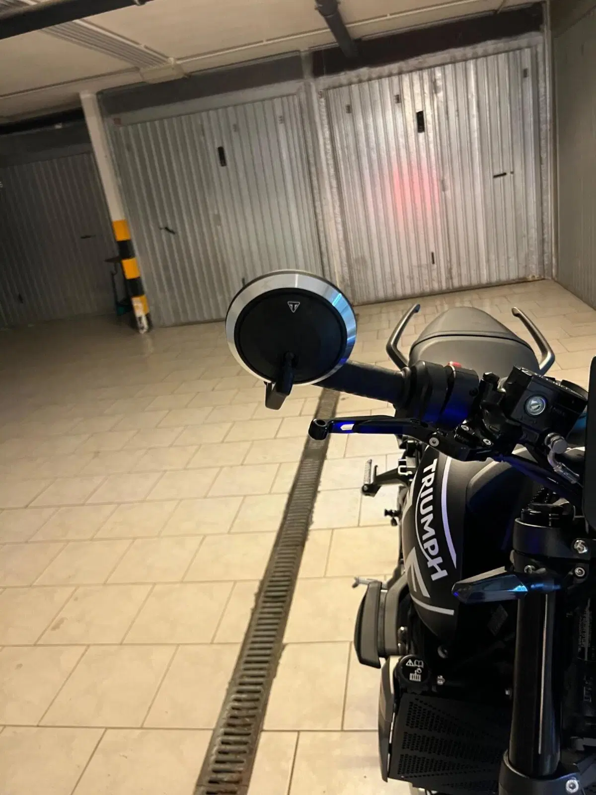 Triumph Trident 660 (2021 - 24) (3)