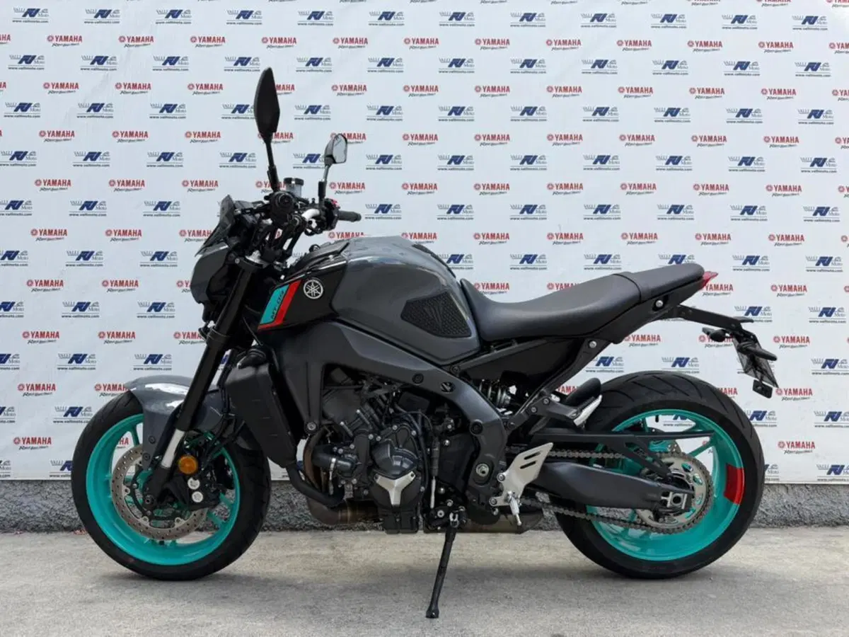 Yamaha MT-09 (2021 - 23) (3)