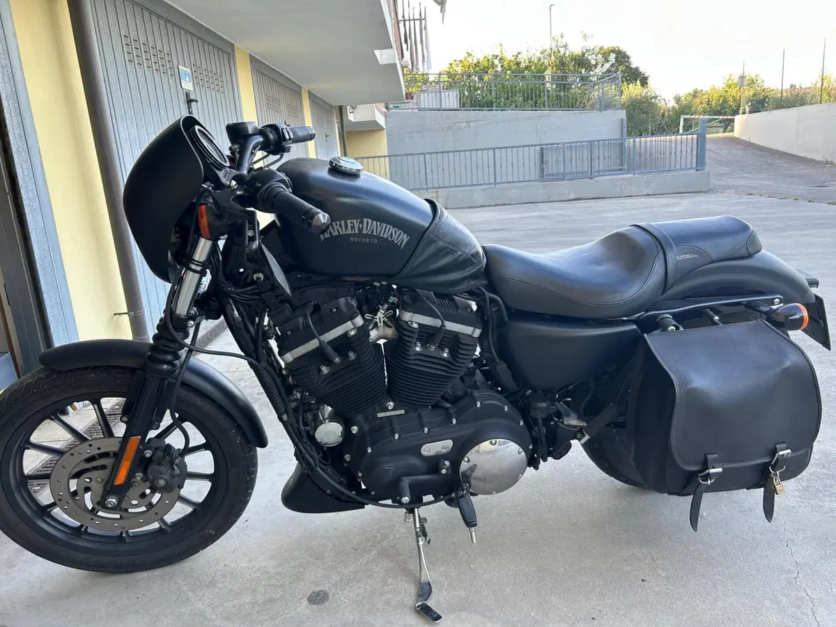 Harley-Davidson 883 Iron (2012 - 14) - XL 883N (2)