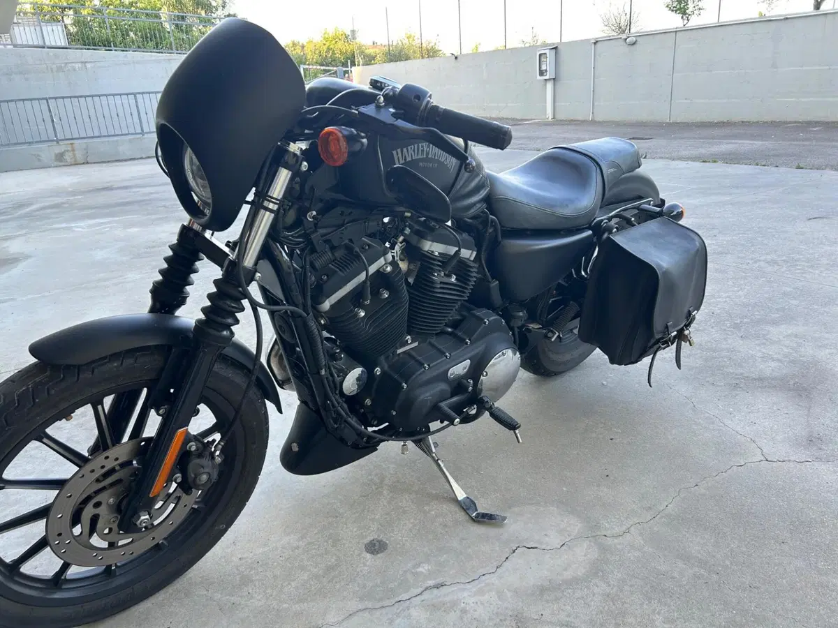 Harley-Davidson 883 Iron (2012 - 14) - XL 883N (3)