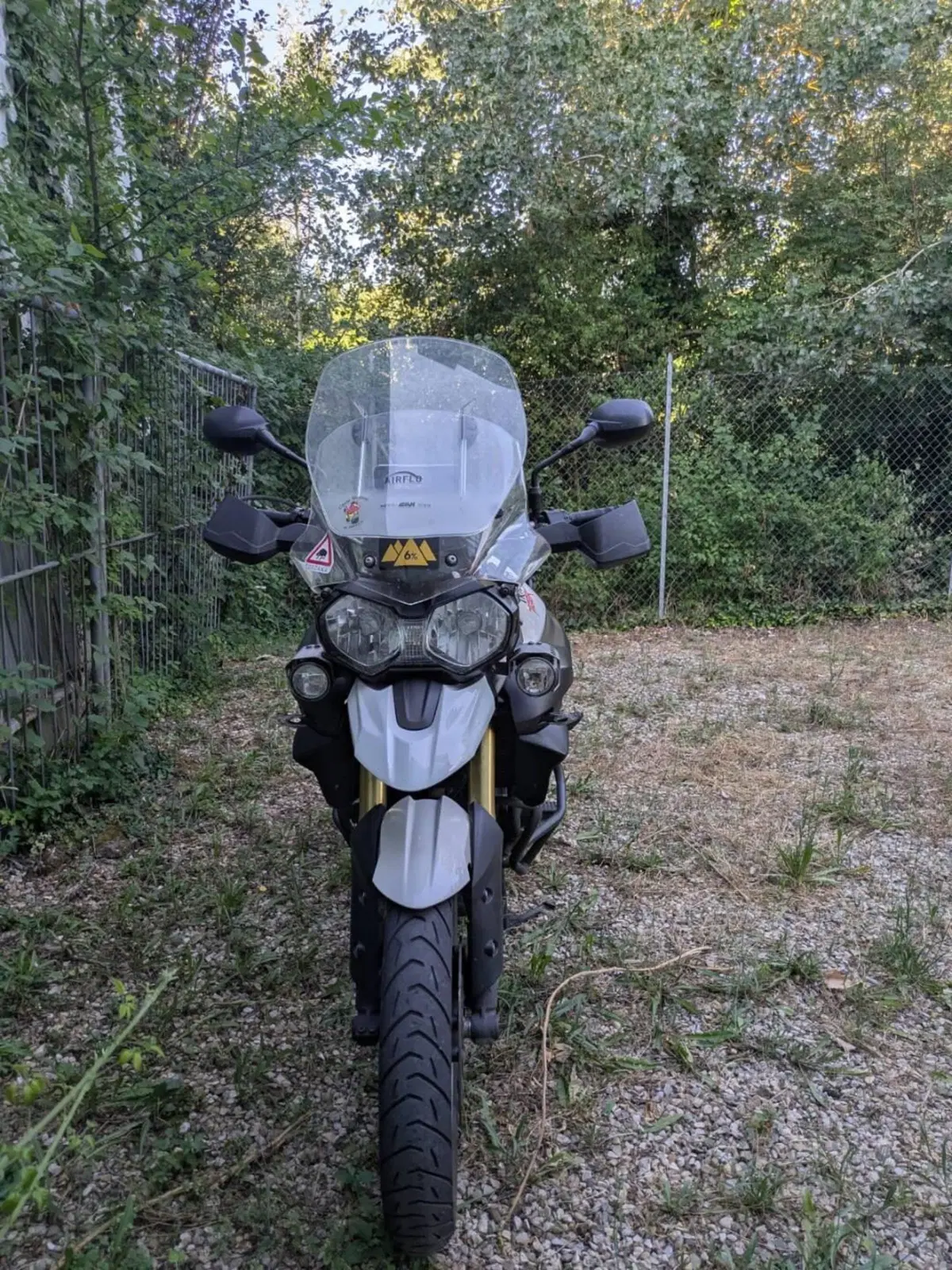 Triumph Tiger 800 ABS (2010 - 14) (4)