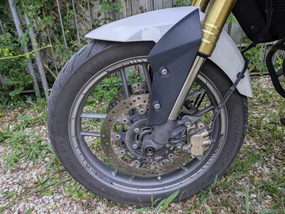 Triumph Tiger 800 ABS (2010 - 14) (6)