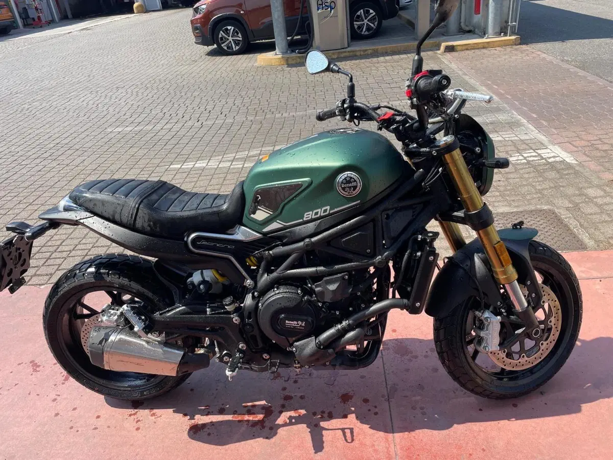 Benelli Leoncino 800 (2022 - 26) (4)