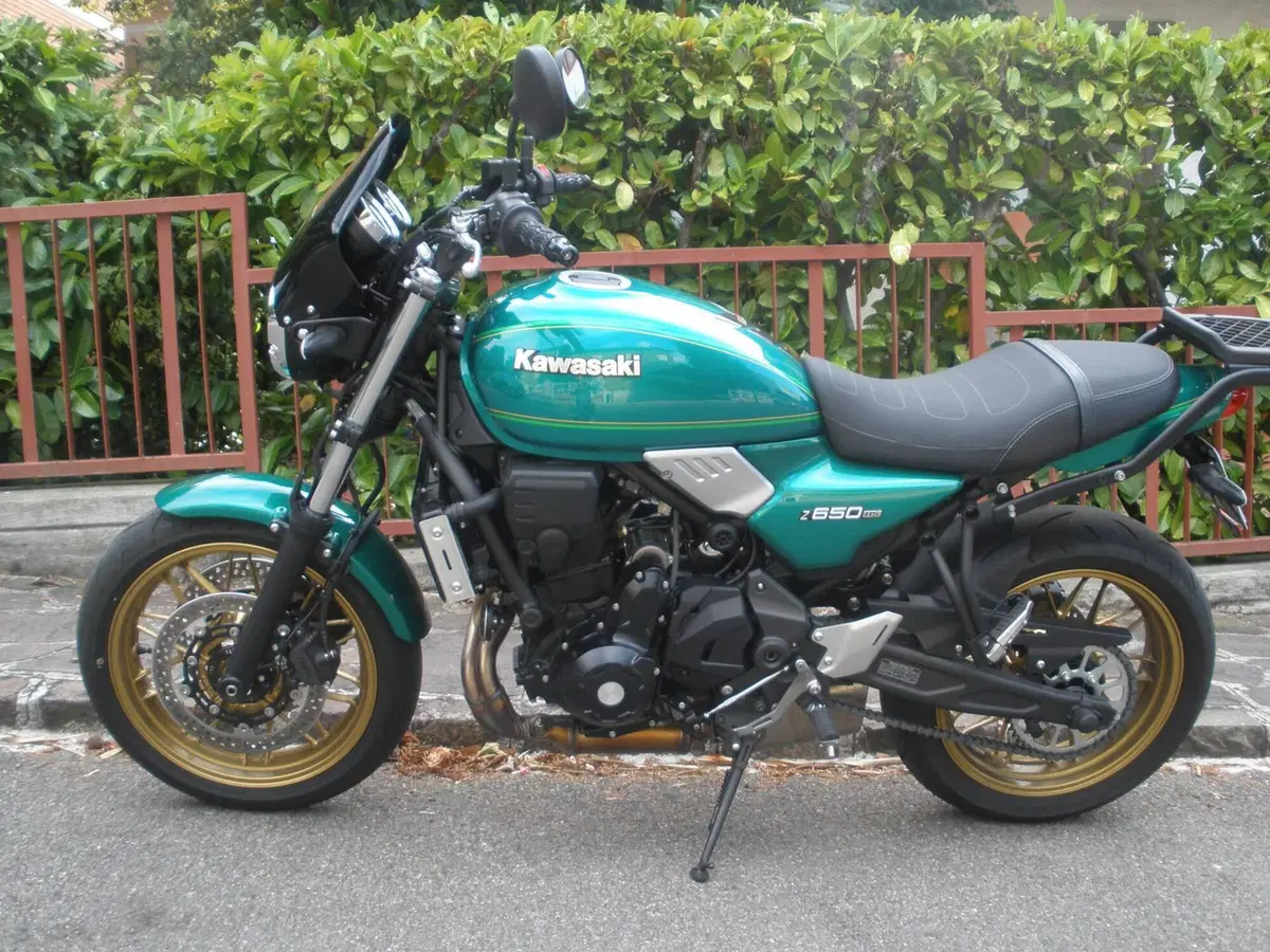 Kawasaki Z 650 RS (2022 - 24)