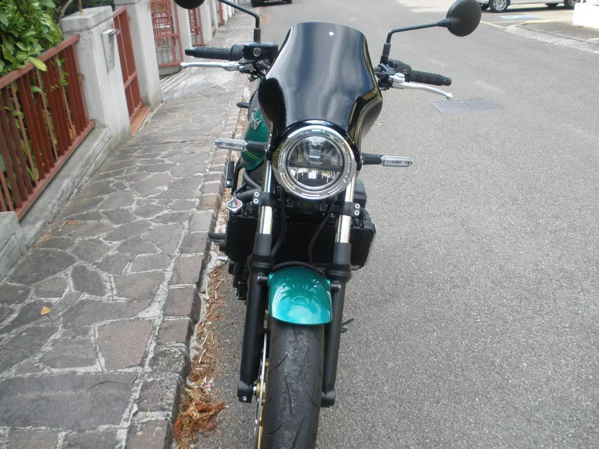 Kawasaki Z 650 RS (2022 - 24) (4)