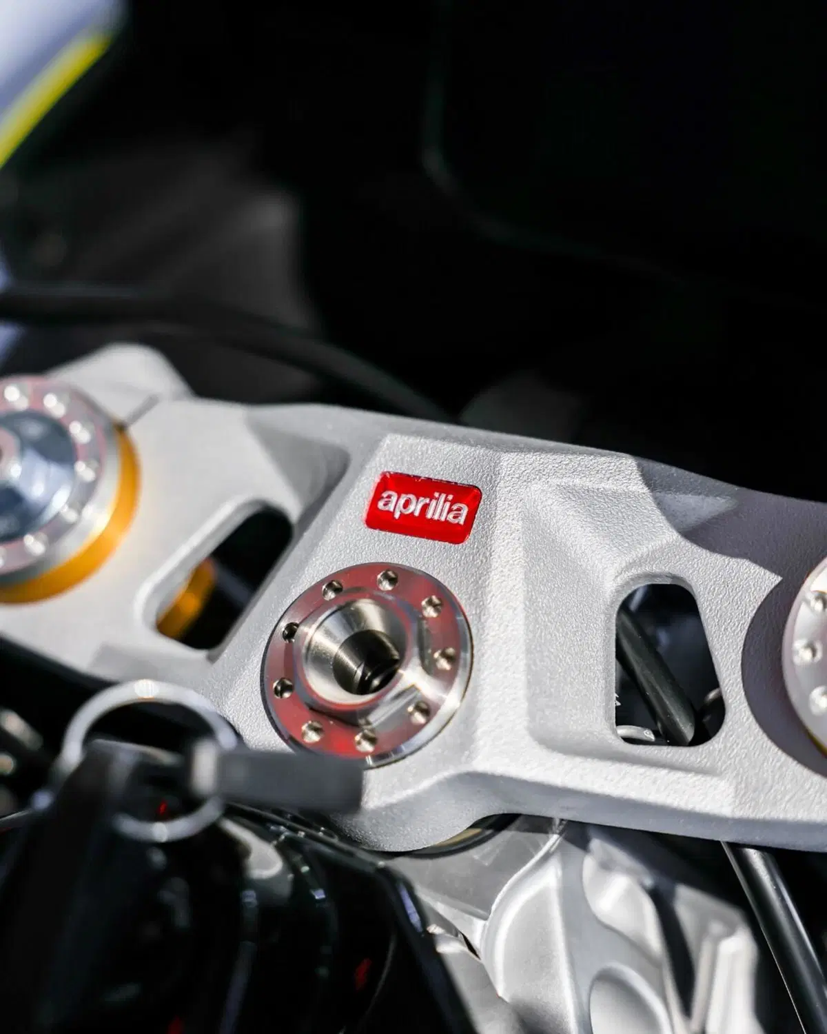 Aprilia RS 660 Factory (2025 - 26) (9)
