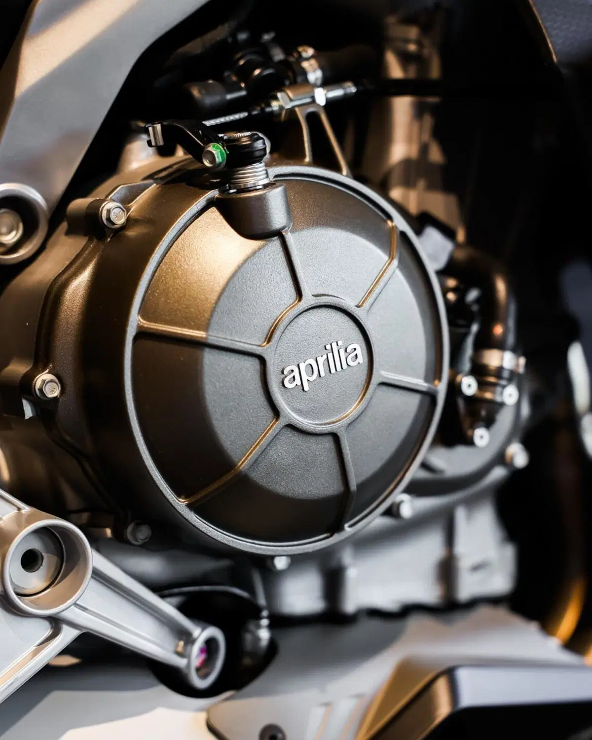 Aprilia RS 660 Factory (2025 - 26) (10)