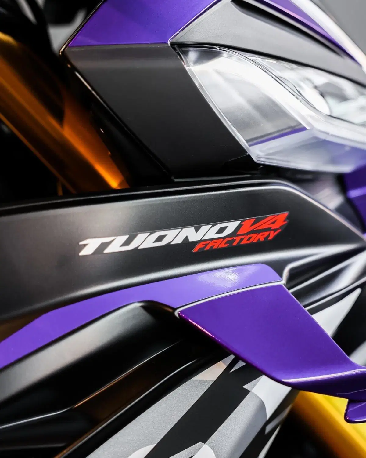 Aprilia Tuono V4 Factory (2025 - 26) (8)