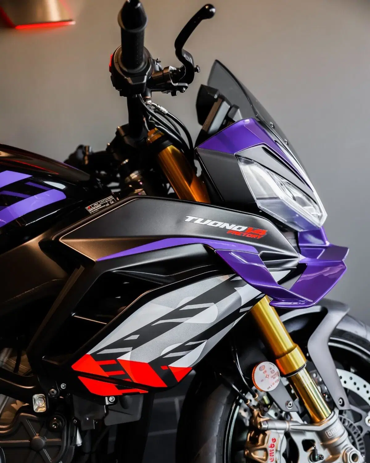 Aprilia Tuono V4 Factory (2025 - 26) (9)