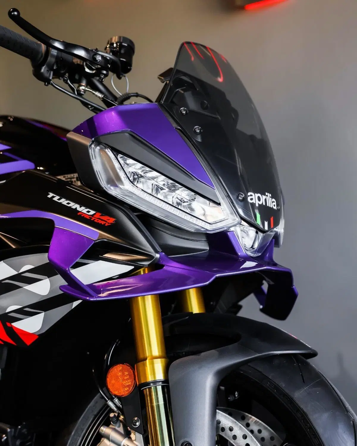 Aprilia Tuono V4 Factory (2025 - 26) (10)