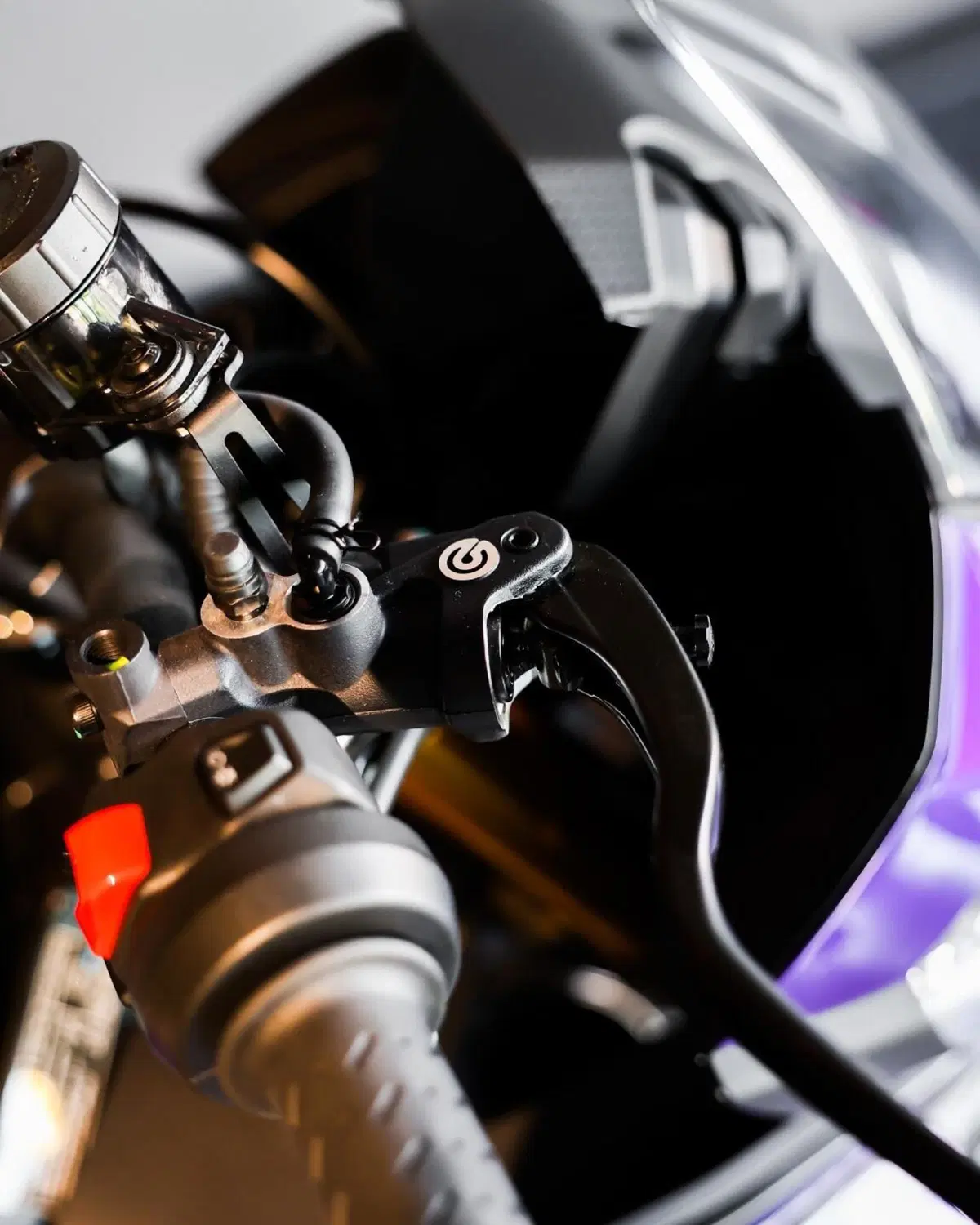 Aprilia Tuono V4 Factory (2025 - 26) (19)