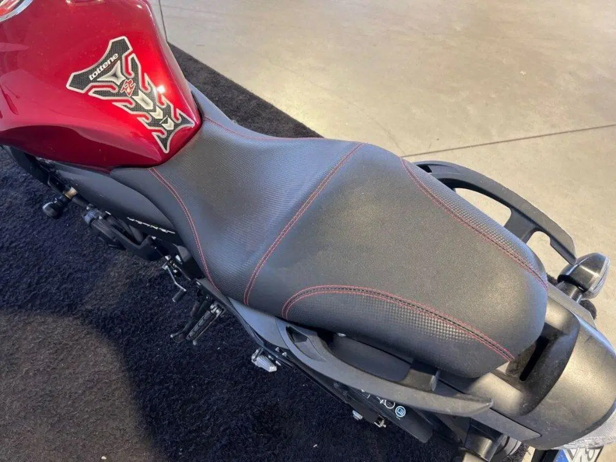 Honda Hornet 600 (2007 - 10) (5)