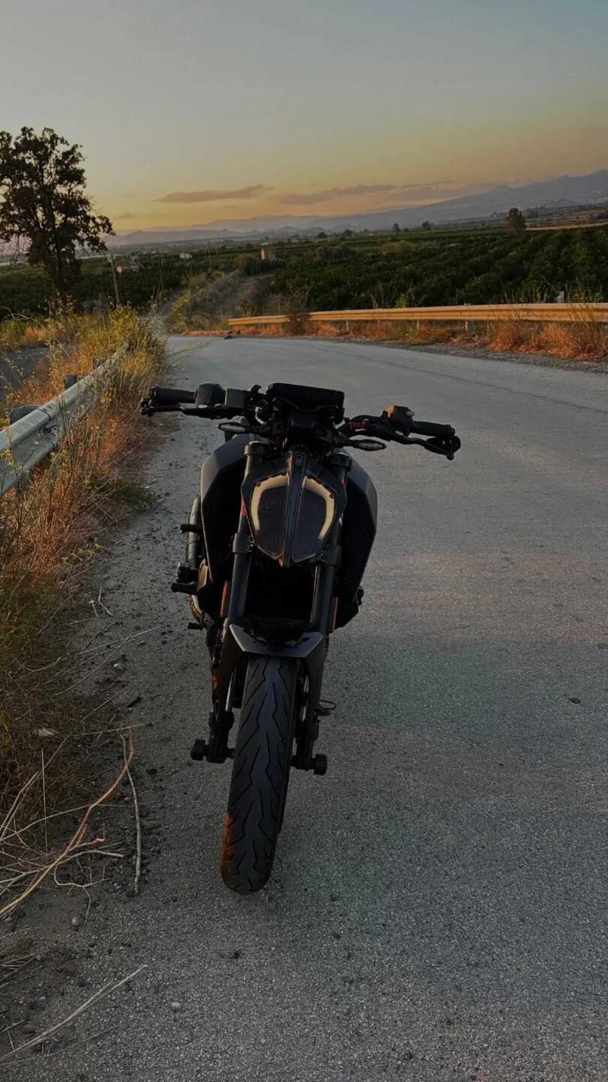 KTM 390 Duke (2021 - 23) (3)