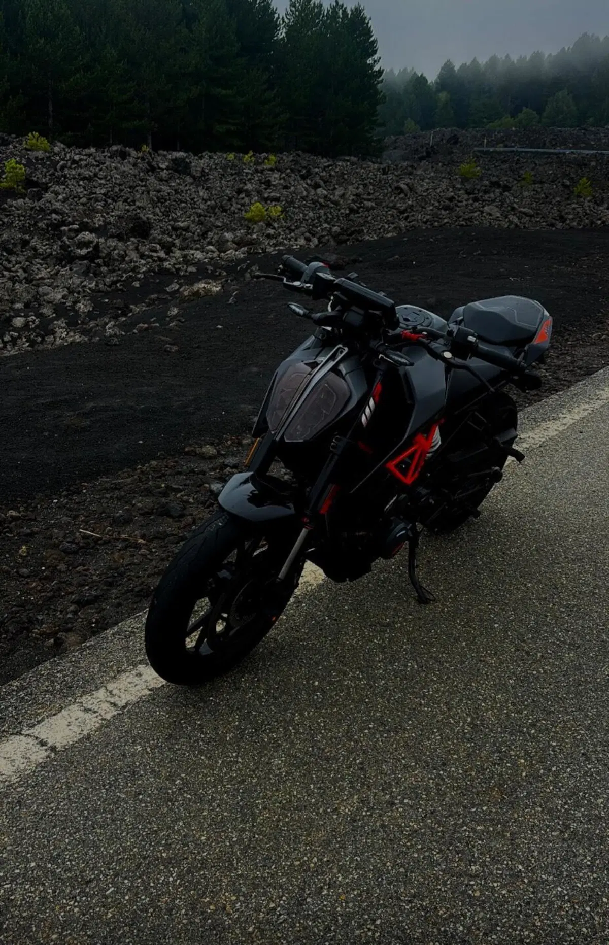 KTM 390 Duke (2021 - 23) (4)