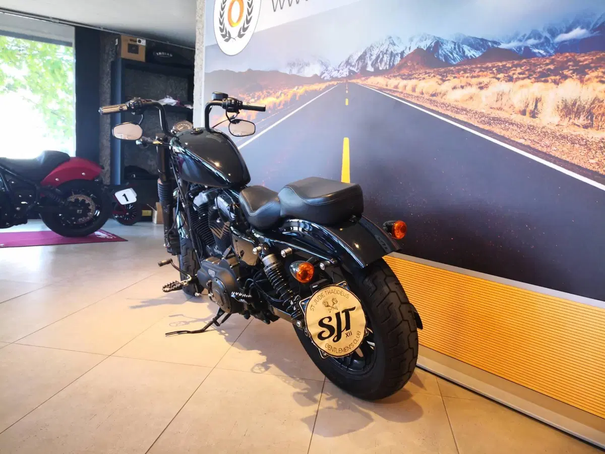 Harley-Davidson 1200 Forty-Eight (2016 - 20) (8)