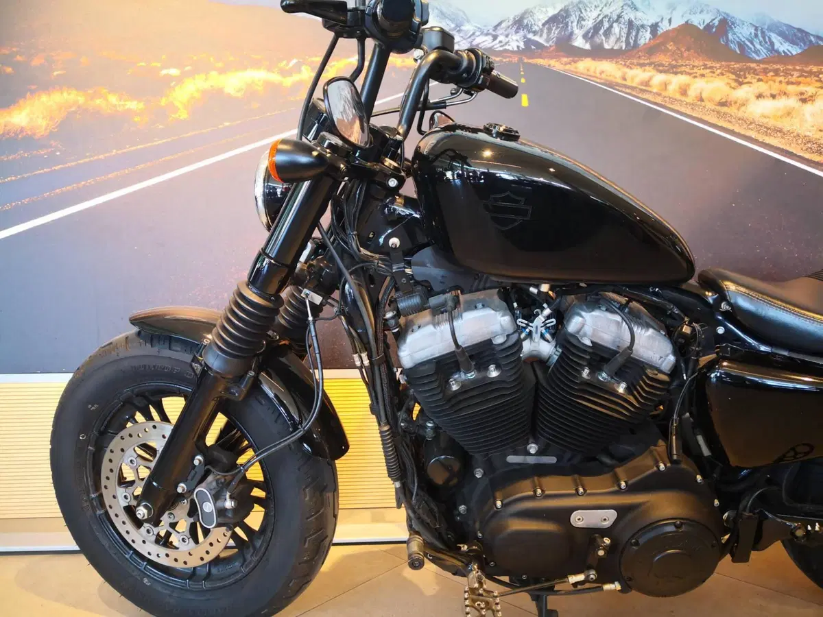 Harley-Davidson 1200 Forty-Eight (2016 - 20) (10)