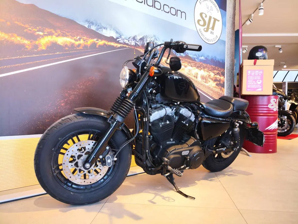 Harley-Davidson 1200 Forty-Eight (2016 - 20) (11)