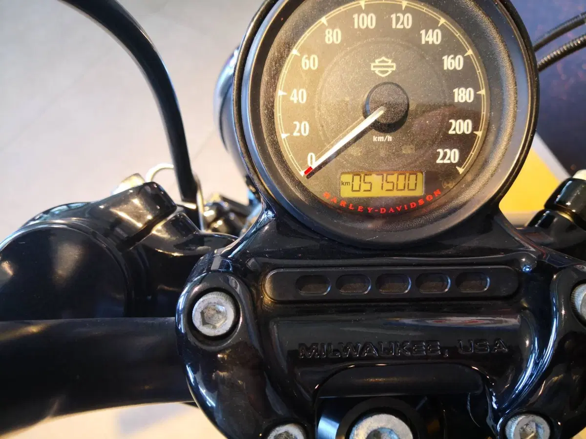 Harley-Davidson 1200 Forty-Eight (2016 - 20) (12)